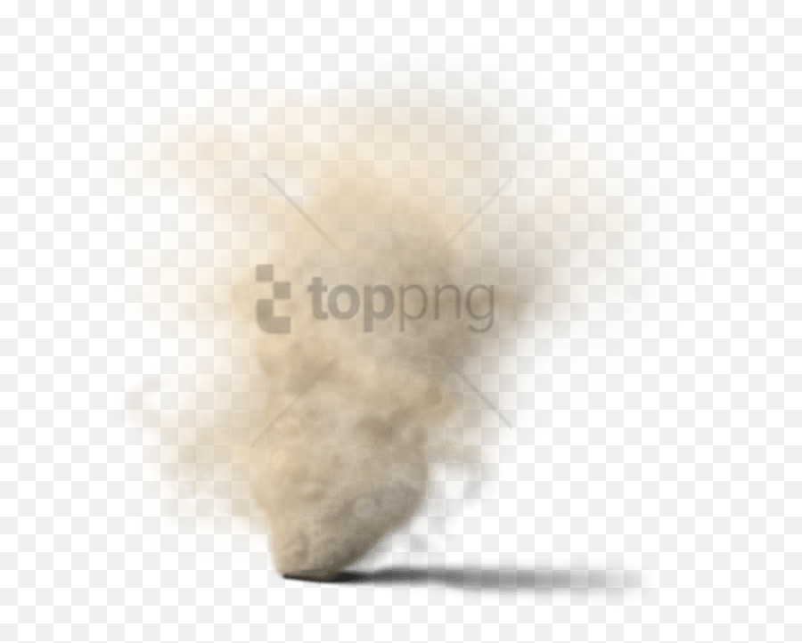 Download Hd Free Png Dust Dirt Images - Moth,Dirt Png