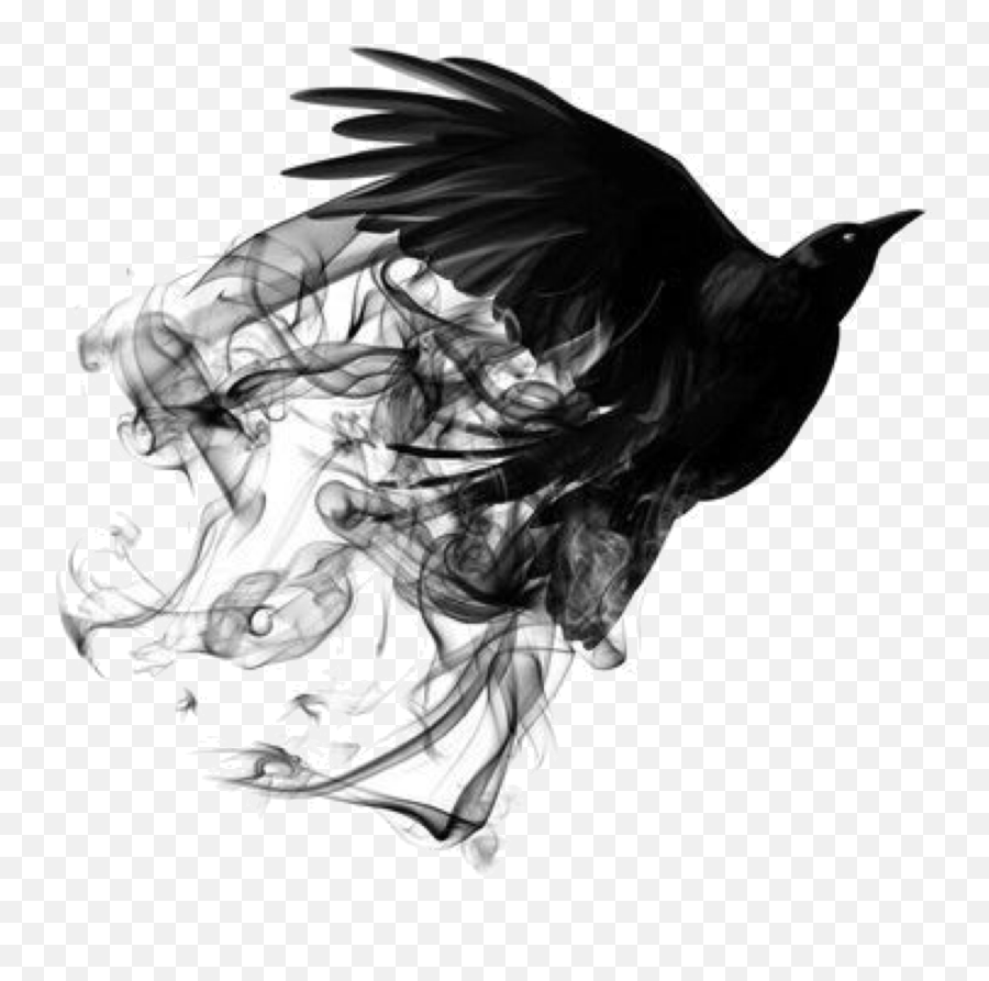 Bird - Black Smoke Bird Png,Black Smoke Transparent