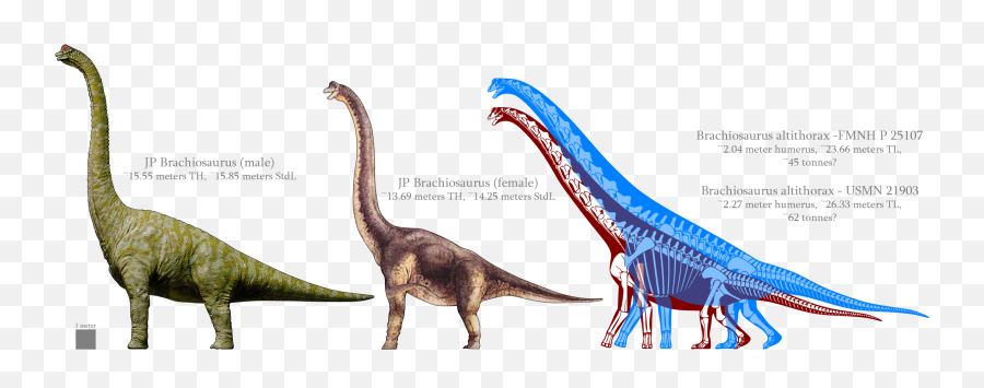 Download Jp Brachiosaur Vs Rl Png Brachiosaurus