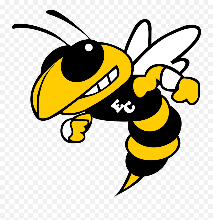 Team Home East Central Hornets Sports - Georgia Tech Yellow Jackets Png,Hornets Logo Png