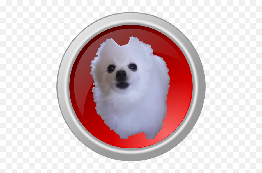 Appstore For - Pomeranian Png,Gabe The Dog Png