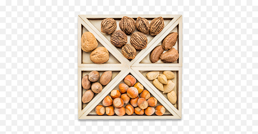 The Nut Association We Are Industry In Uk - English Walnut Versus Black Walnut Png,Nuts Png