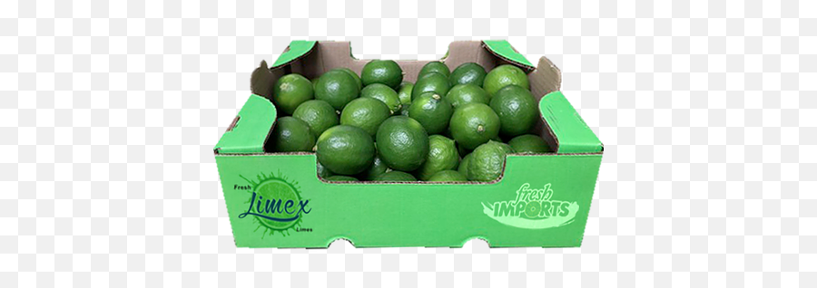 Citrus - Persian Lime Png,Limes Png