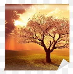 God Rays Wall Mural U2022 Pixers - We live to change Painting png