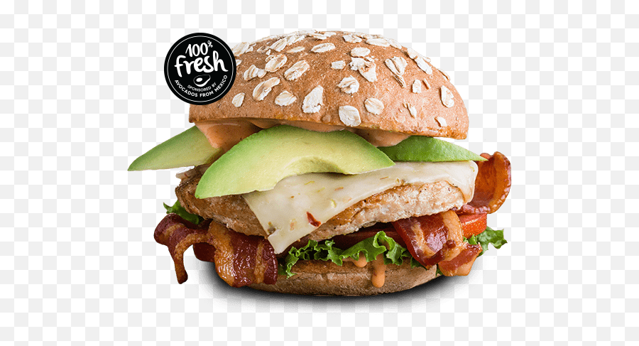 Jennie - O Turkey Burgers Mooyah Burgers Fries And Shakes Transparent Turkey Burger Png,Burger And Fries Png