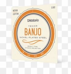 Ej63 5 - String Banjo Strings Du0027addario Mandolin Png,Banjo Png