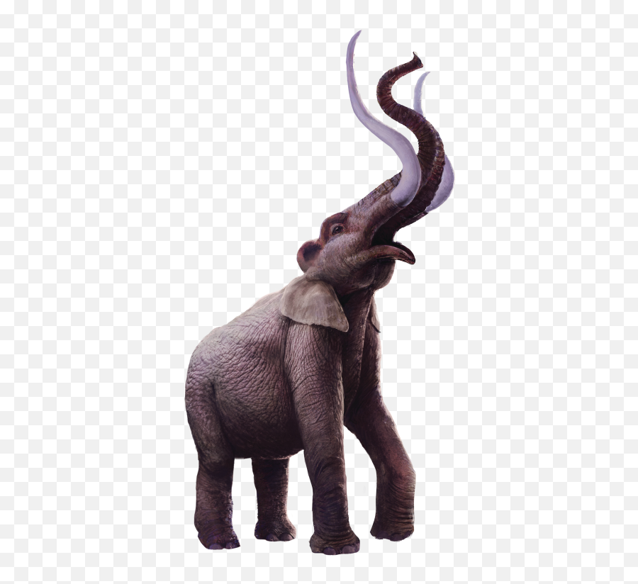 A Gigantic Family Reunion Nhm - Animal Figure Png,Mammoth Png