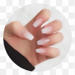 Services U2013 Queen Bees Nails And Spa - Simple Cute Nail Ideas Png,Transparent Nails