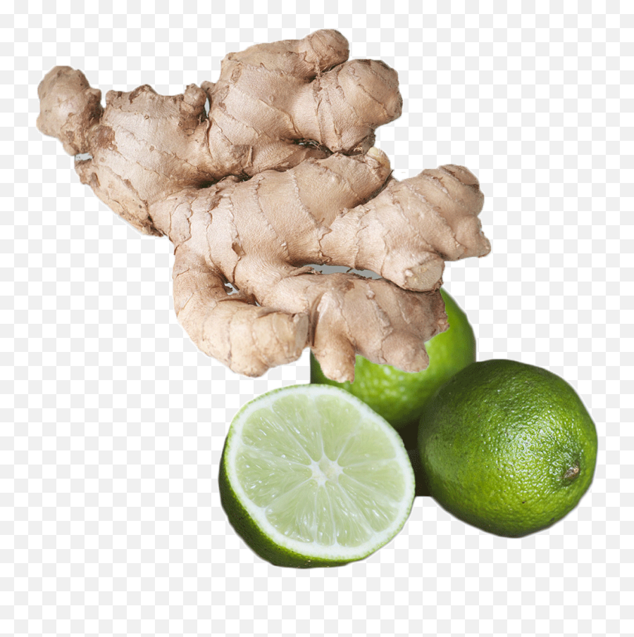 Fresh Ginger Lime Fragrance Oil - Eat Ginger Png,Lime Transparent