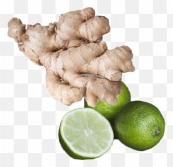 Fresh Ginger Lime Fragrance Oil - Eat Ginger Png,Lime Transparent