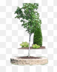 Priority Turf And Irrigation - Horizontal Png,Landscaping Png