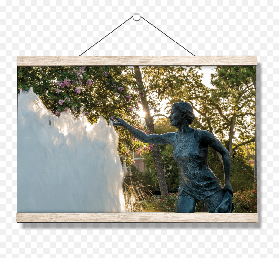Florida State Seminoles - Landis Fountain Sunrise Picture Frame Png,Fountain Grass Png