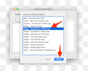 Folder Actions In Macos Explained With - Vertical png