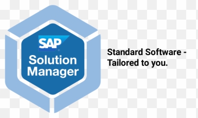 Solution Manager Experts Corealm Focused Solutions - Solution Manager Png,Focused Icon