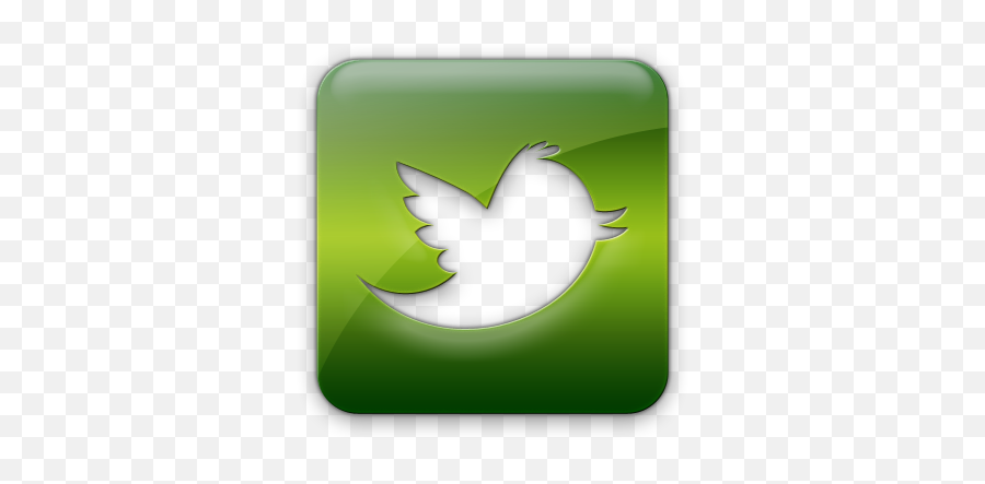 Dallas Green Official Twitter Logo - Green Twitter Logo Png,Twiter Logo Png