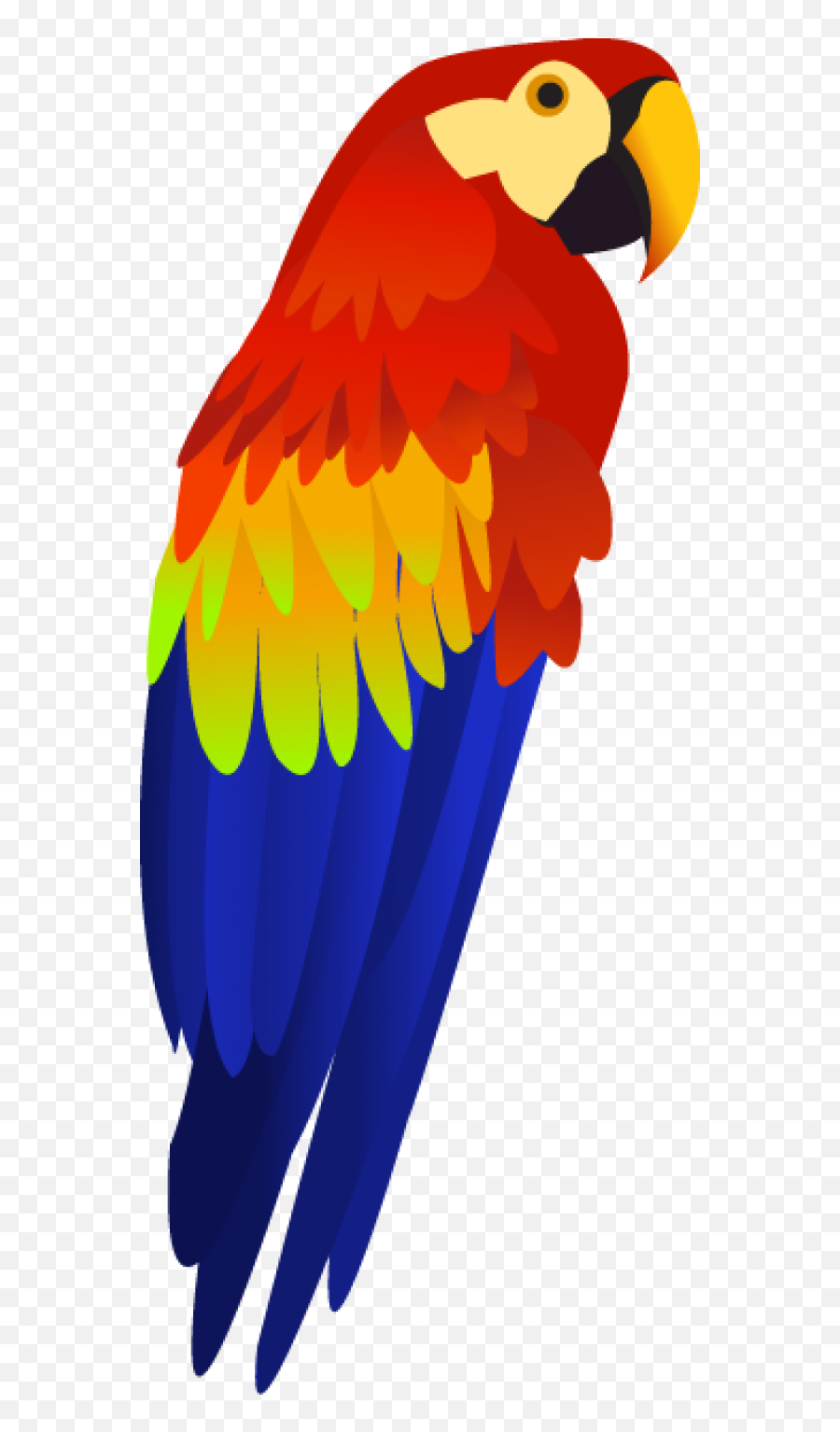 Download Hd Png Stock Colorful Parrot - Parrot Clipart Png,Parrot Transparent Background