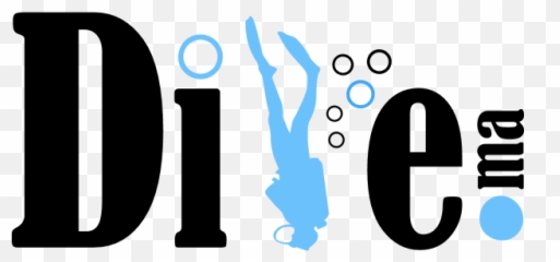 Divema Download - Logo icon png svg Language