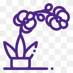 Extension Horticulture And Natural Resources Kansas - Girly png