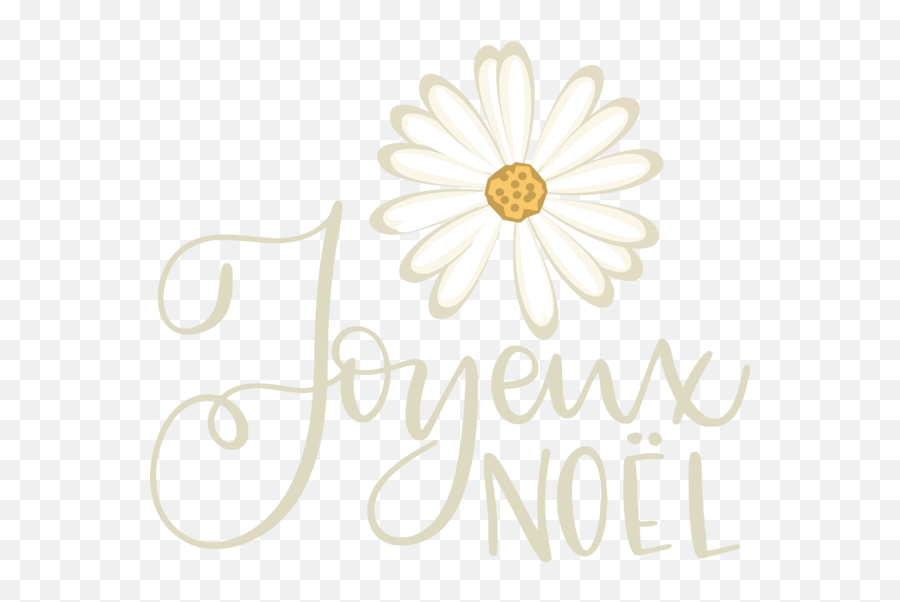 Christmas Icon Drawing Picture Frame For Noel Png Framing