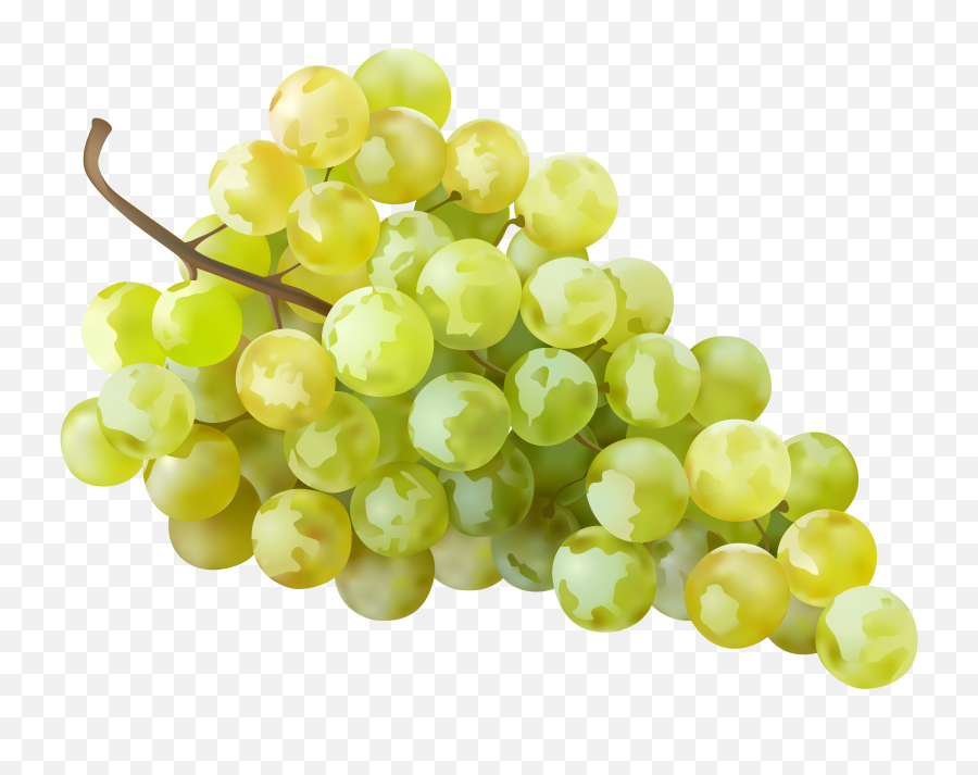 Grapes Png Image Transparent Arts - Green Grapes Png,Grapes Png