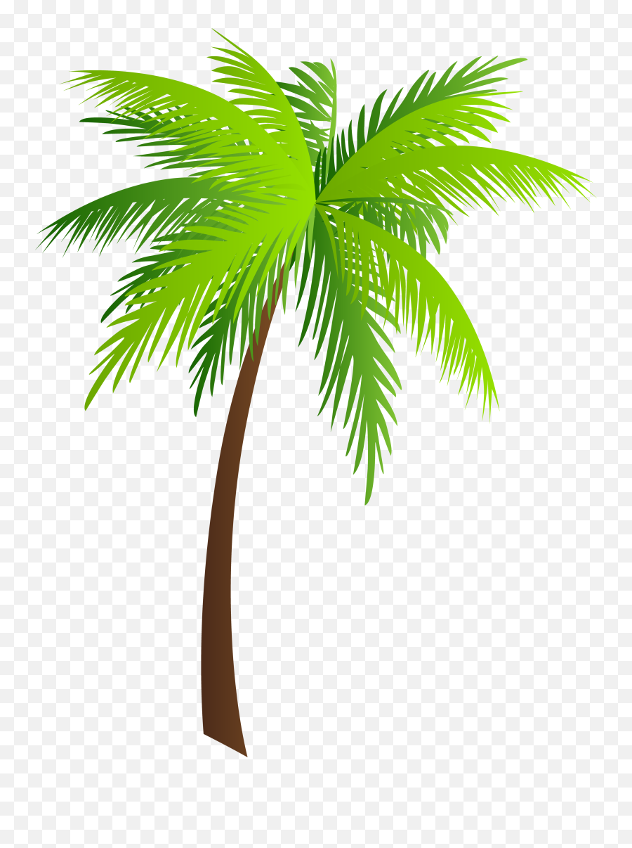 Palm Clipart - Hawaii T Shirt Designs Png,Palm Tree Clipart Png