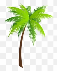 Palm Clipart - Hawaii T Shirt Designs Png,Palm Tree Clipart Png