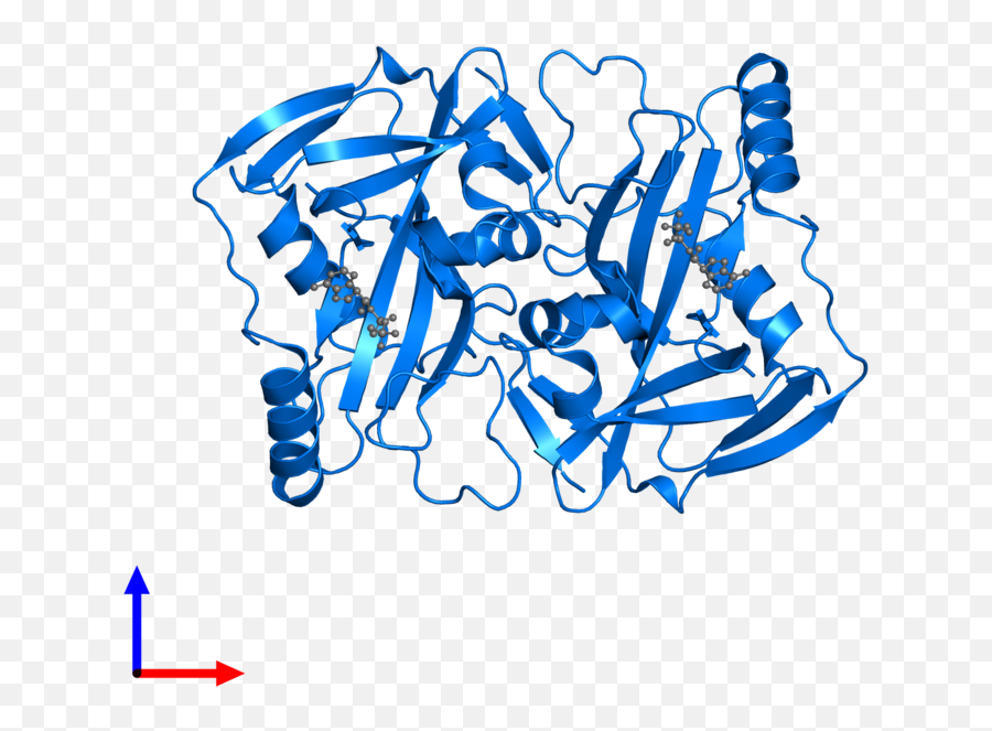 Pdb 3bho Gallery U2039 Protein Data Bank In Europe Pdbe Embl - Ebi Illustration Png,Cleavage Png