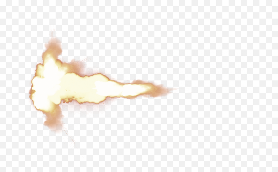 Muzzle Flash Banner Transparent - Invertebrate Png,Muzzle Flash Png