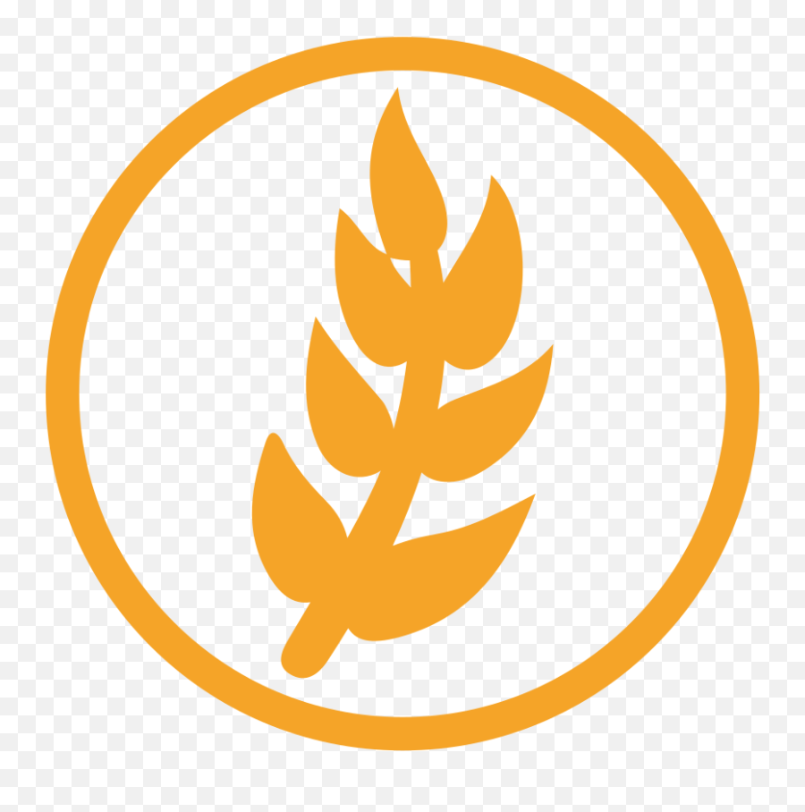 Wheat Allergy Amber Icon Iconset Erudus - Wheat Icon Png,Wheat Logo
