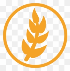 Wheat Allergy Amber Icon Iconset Erudus - Png