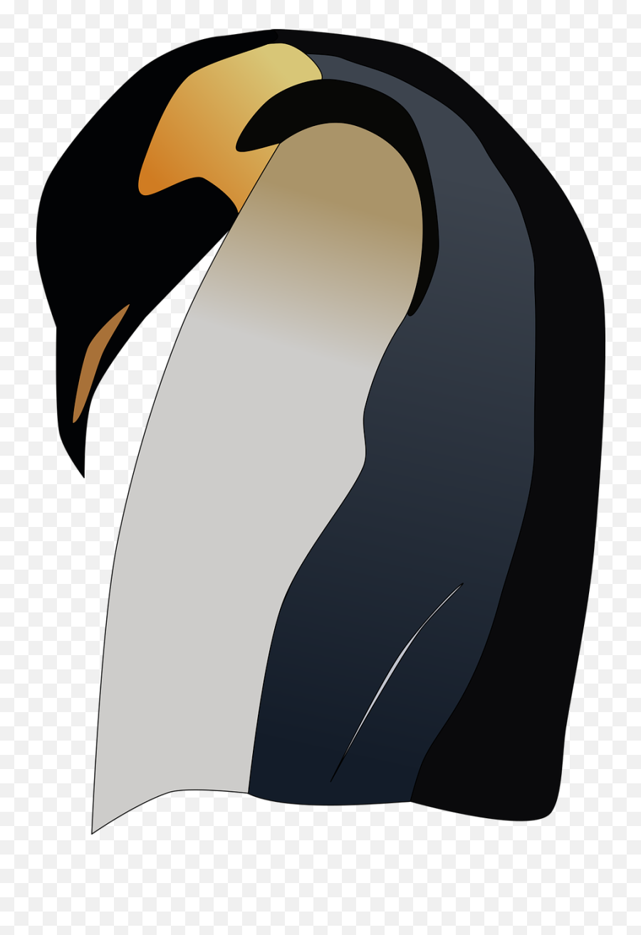 Penguin Emperor Antarctica - Antarctique Png,Antarctica Png