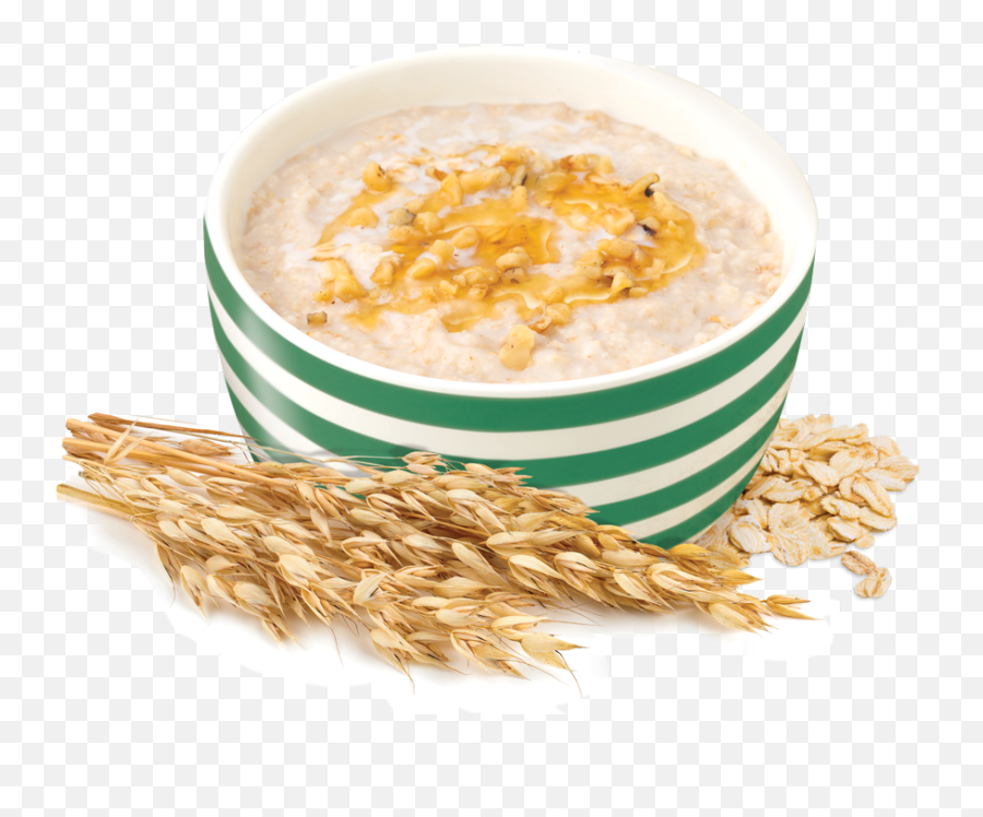 Rolled Oats - Oats Png,Oats Png