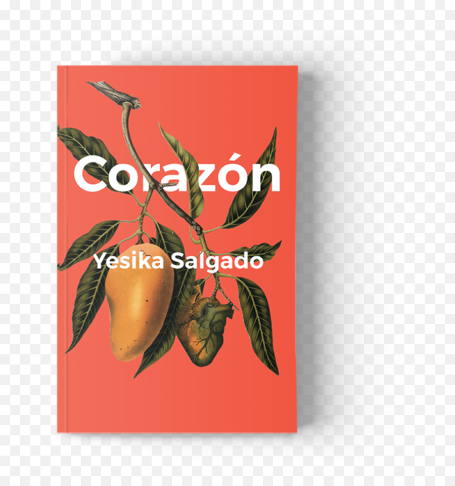 Corazón Not A Cult - Corazón Yesika Salgado Png,Corazon Png