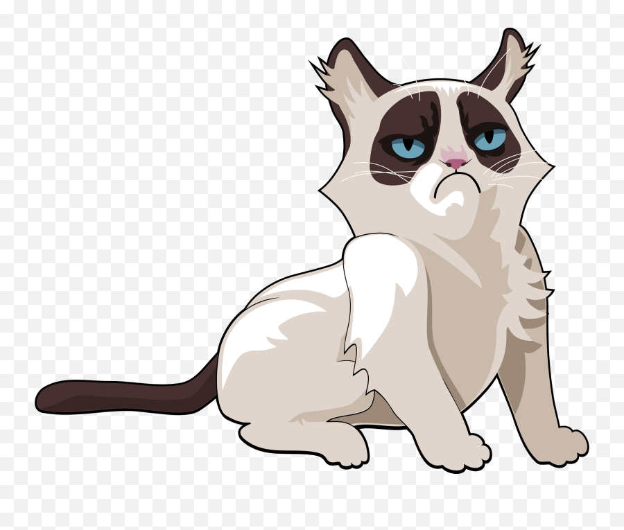 Grumpy Kitty Clipart Free Download Transparent Png Creazilla - Grumpy Cat,Grumpy Png