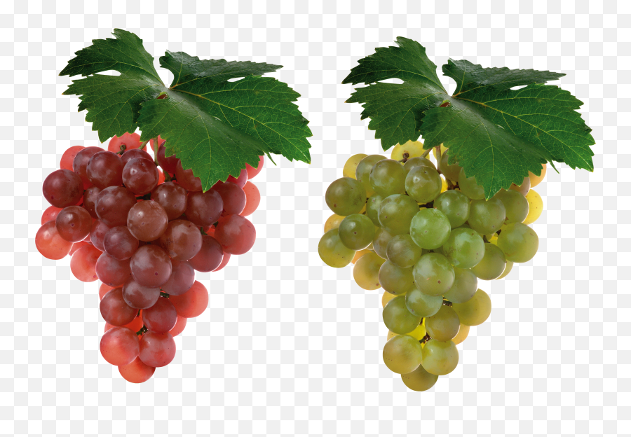 Download Free Png Grapes - Imagenes De Frutas De Uvas,Grapes Transparent Background