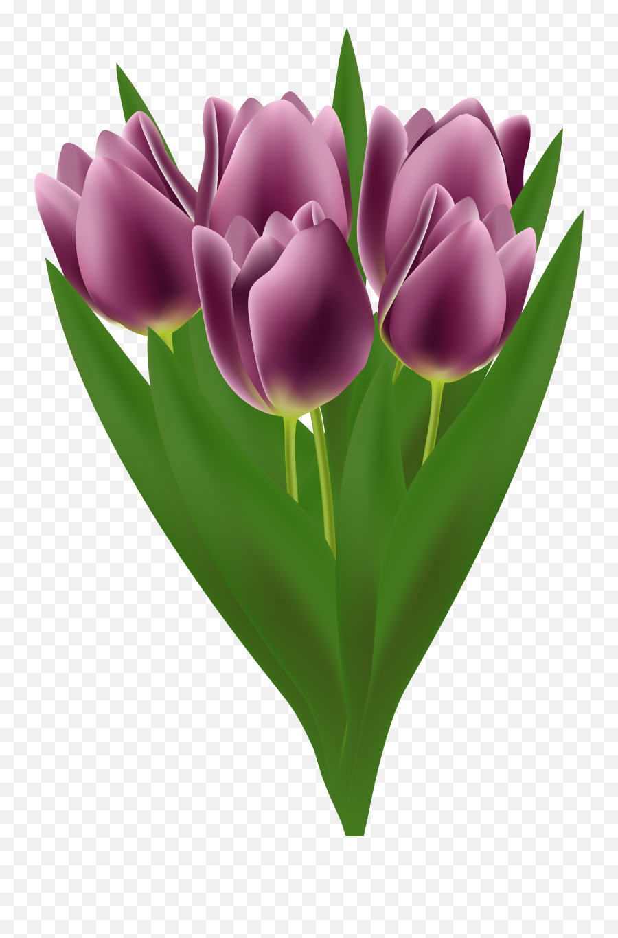 Bouquet Clipart Tulip - Tulip Png,Tulips Transparent Background