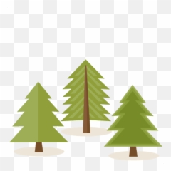 Png V24 Picture Mc - 27 Pine Forest Vector Pine Tree Png,Forest Tree Png