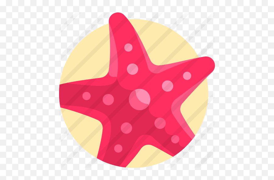 Starfish - Free Animals Icons Starfish Png,Starfish Clipart Png