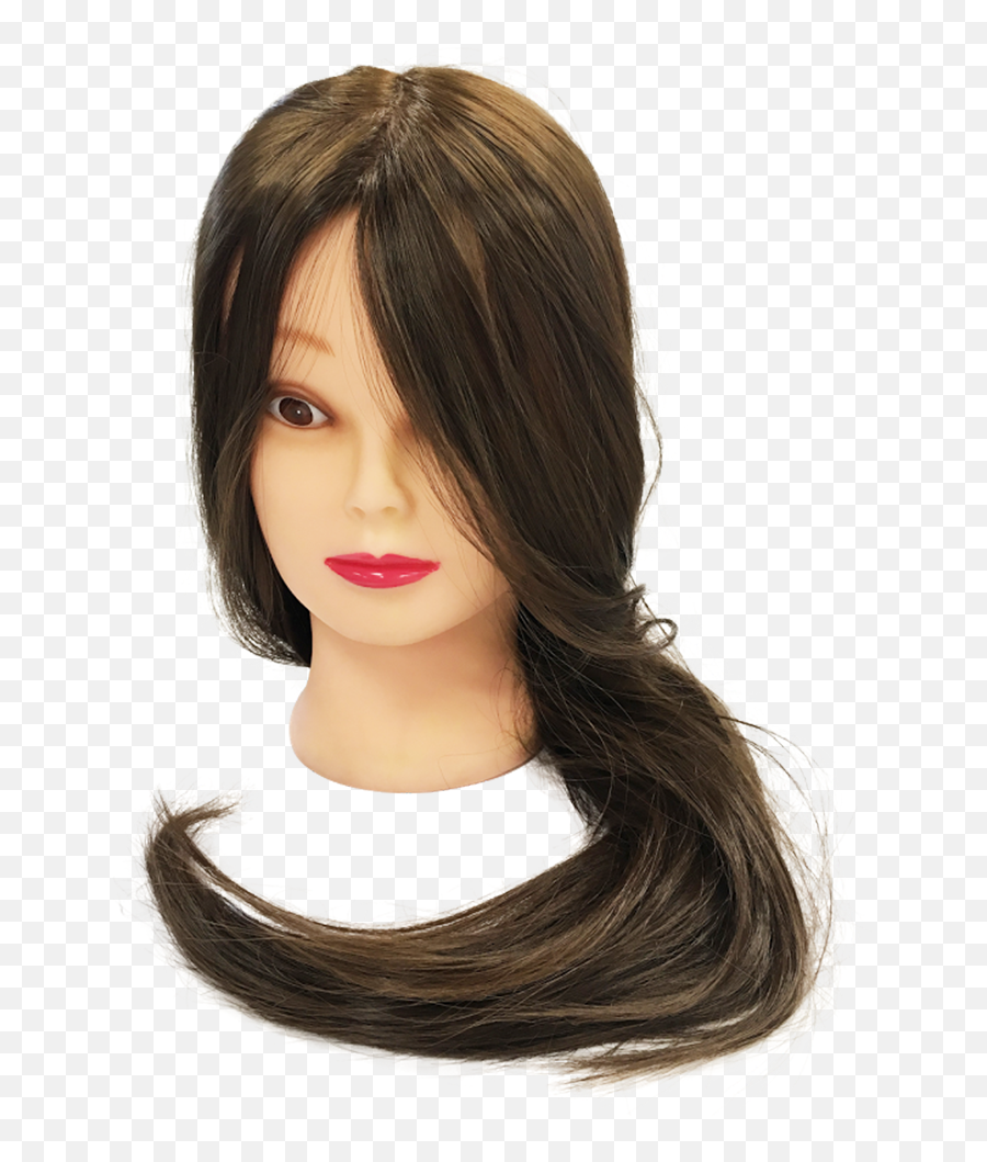 Costaline Mannequin Head - Hair Design Png,Mannequin Head Png