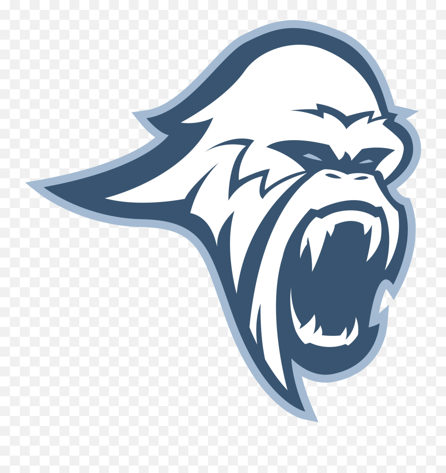Blizzard - Minor League Esports Automotive Decal Png,Blizzard Logo Transparent Blizzard - Minor League Esports Automotive Decal Png,Blizzard Logo Transparent