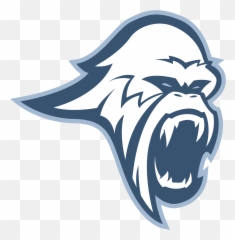 Blizzard - Minor League Esports Automotive Decal png