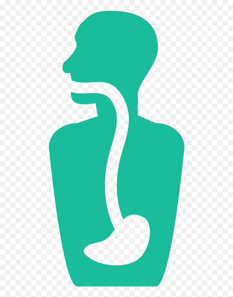 Digestive Icon Png Clipart - Dot,Digestive System Icon