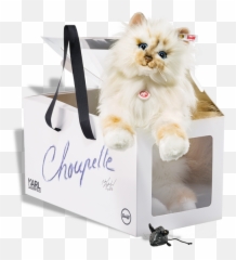 Famous Designer Karl Lagerfeld - Cat Limited Edition png