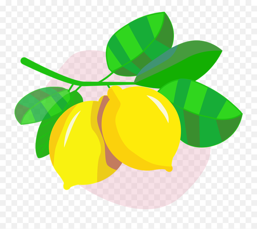 Free Photo Fruit Cutout Citrus Icon Lemons Nature - Sweet Lemon Png,Gruit Icon