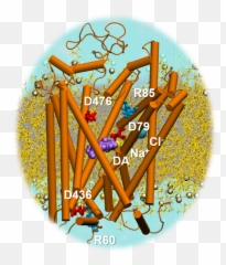 Mcell - MMBioS Art png
