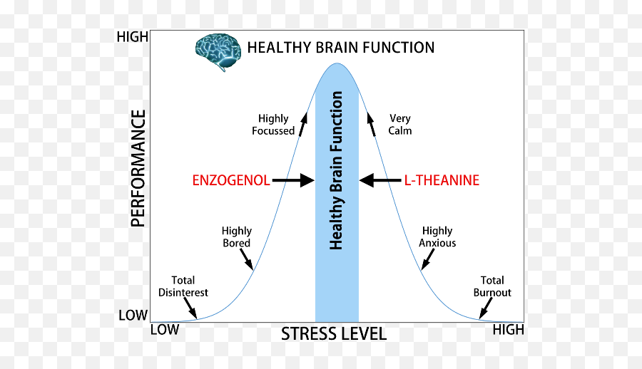 Stress Performance Bell Curve Taps - Diagram Png,Bell Curve Png