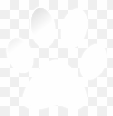 Home - The DOGGIE DONT Device Akita Shirt png