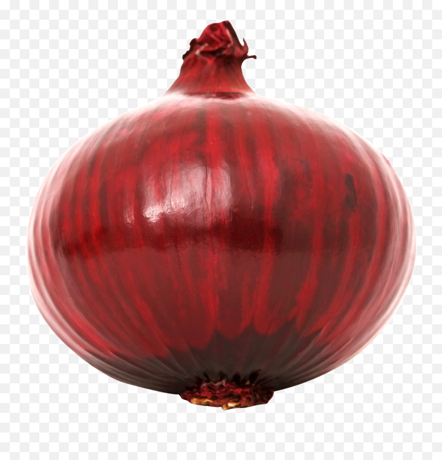 Red Onion Png Image - Red Onion Transparent,Onion Png