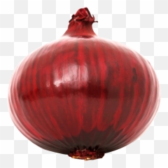 Red Onion Png Image - Transparent