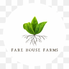 Local Line - Ecommerce For Food Suppliers Fines Herbes Png,Lion Icon Mssu